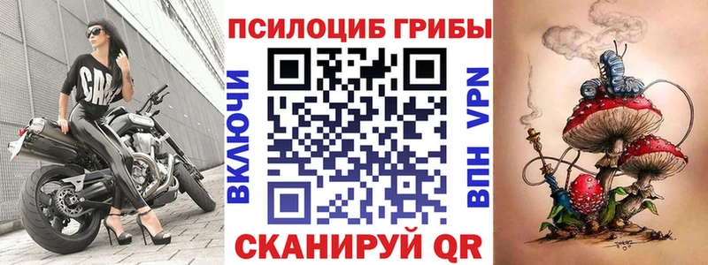 Галлюциногенные грибы Magic Shrooms продажа наркотиков Североморск