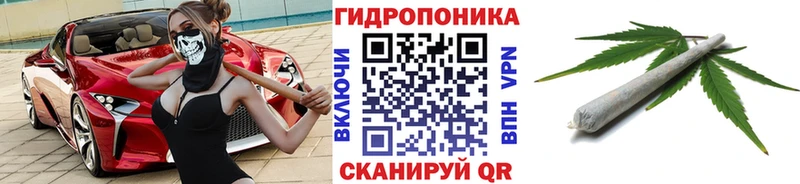 Бошки Шишки Bruce Banner Североморск